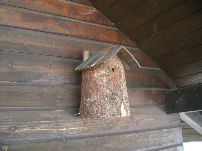 P 02.jpg
