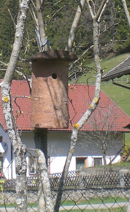 P 15.jpg
