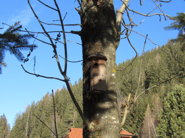 P 07.jpg