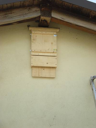 bat box Alpone (1).JPG